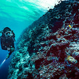 Suunto Dive EON Core - White