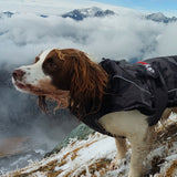 Dryrobe® Dog Coat -  Black Camouflage Black