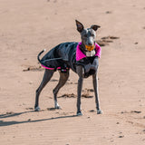 Dryrobe® Dog Coat - Black Camouflage Pink